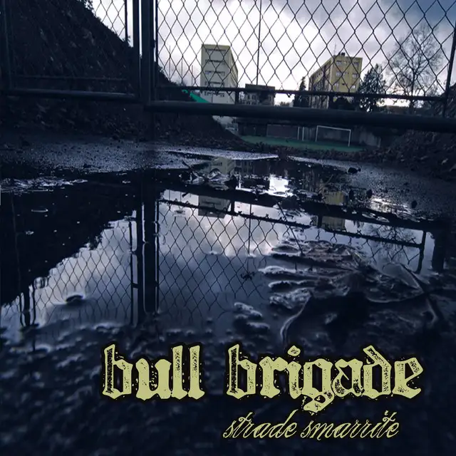 Bull Brigade -Strade smarrite (Cover album)